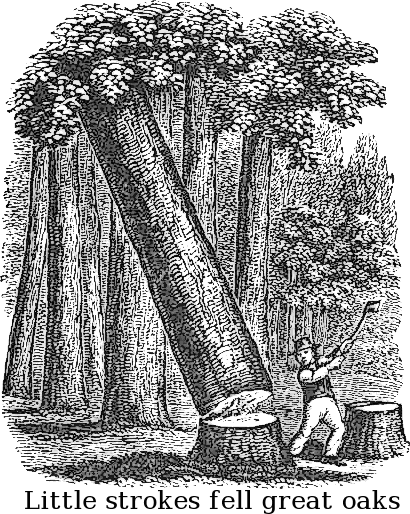 little_strokes_fell_great_oaks
