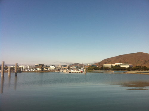 bay